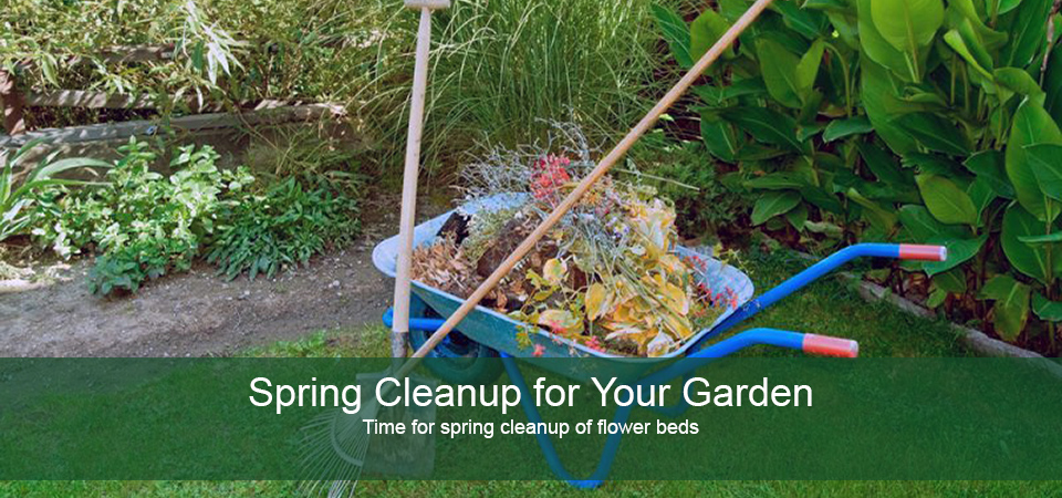 spring cleanup