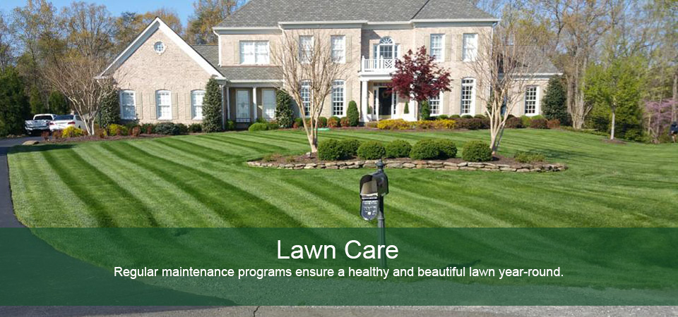Lawn Care