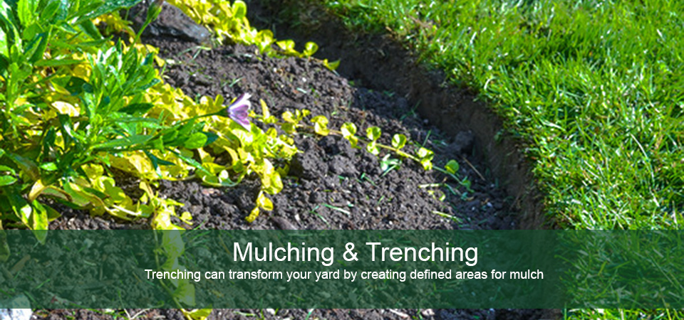 mulch and trench